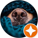 Kat Dzie profile picture